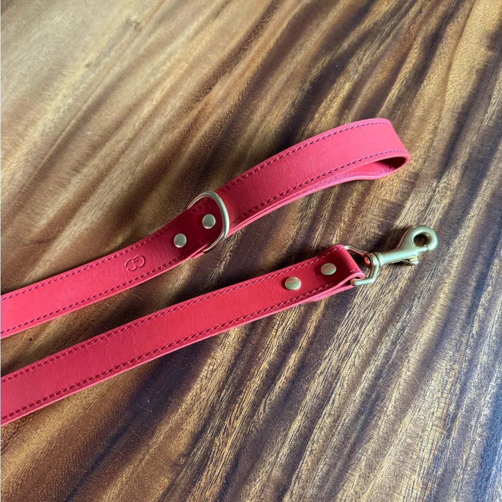 Collar and leash set from Genuine Canine